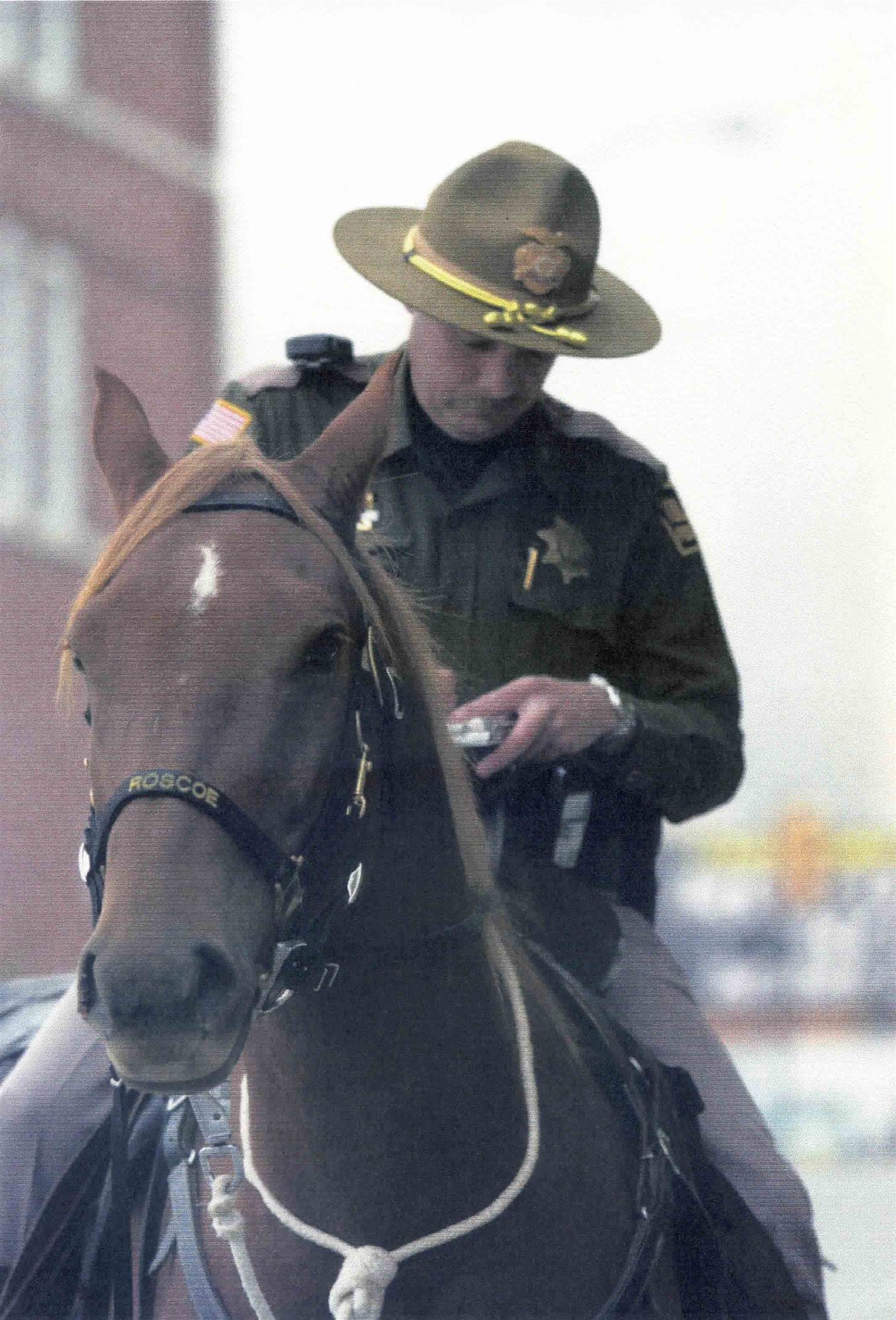 Mounted officer and partner