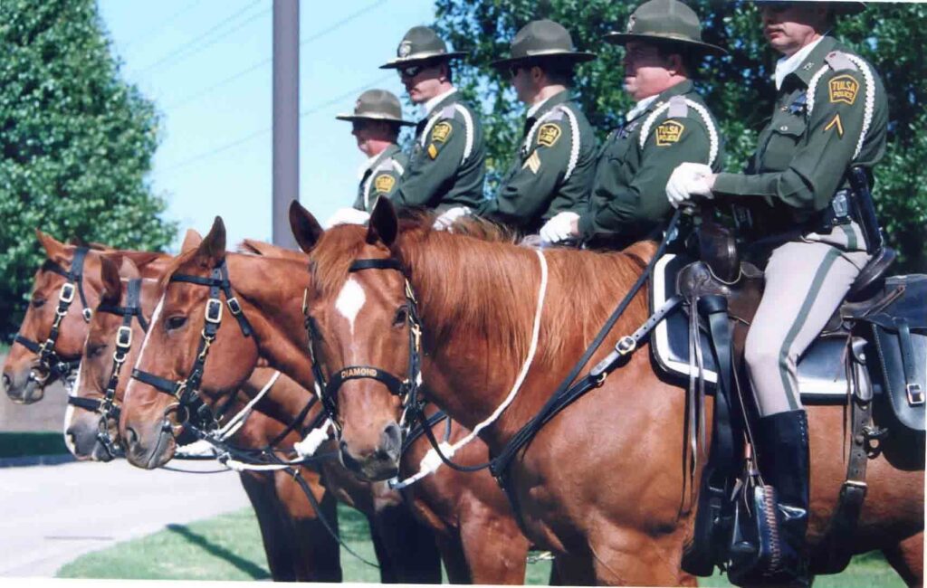 Four Tulsa mounted officers lined up in profile on their horses