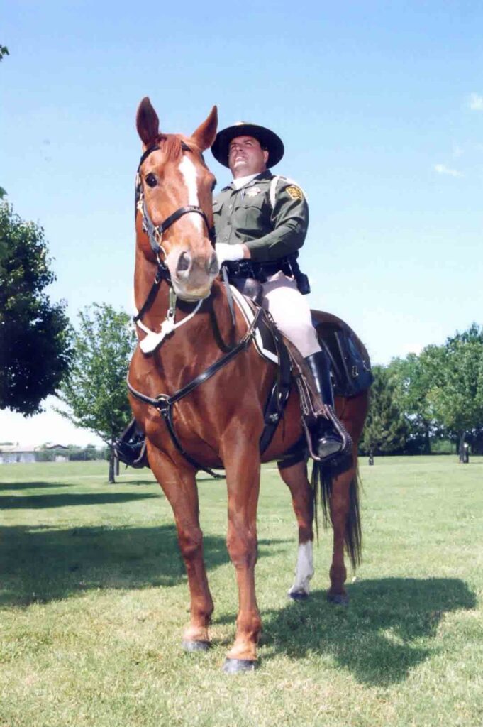 Mounted Tulsa police officer on a chestnut horse in a park