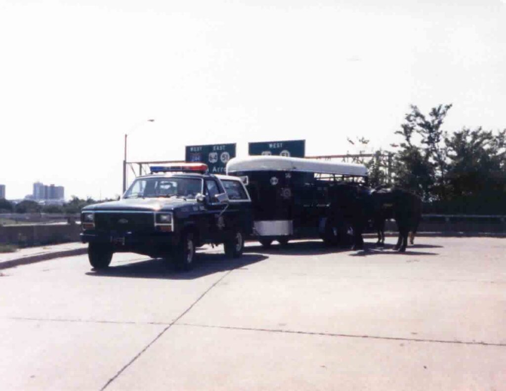 Police truck and horse trailer in a parking lot with the skyline behind