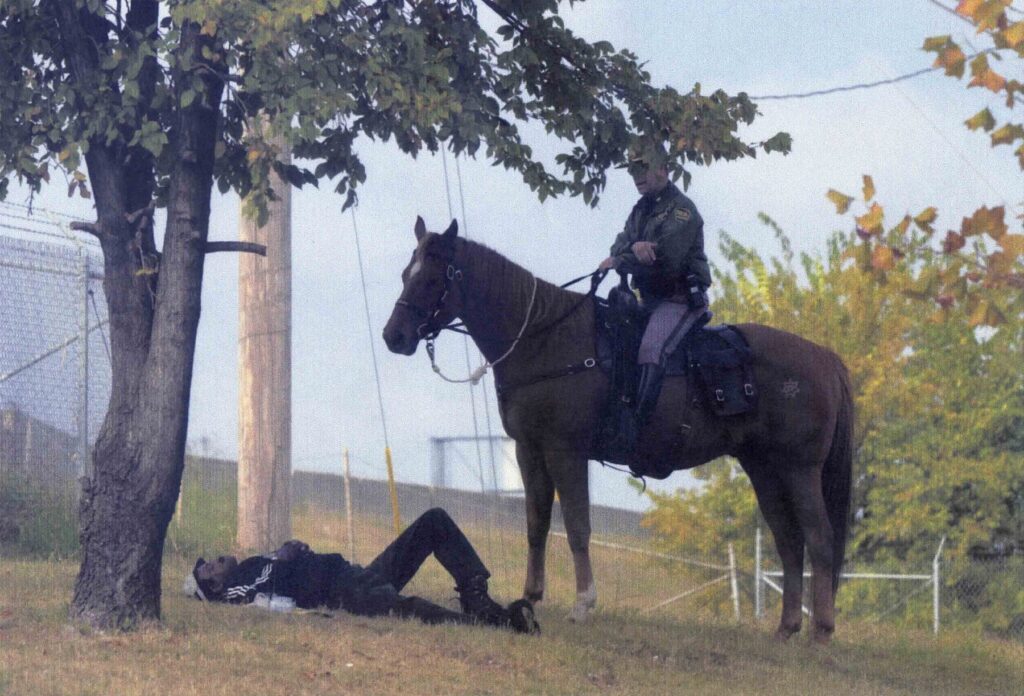 Mounted officer on a bay horse beside a tree
