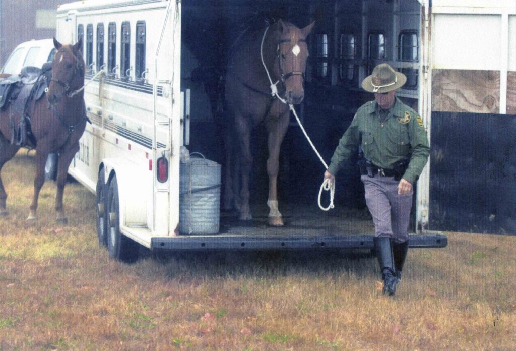 An officer leads a horse out of the trailer