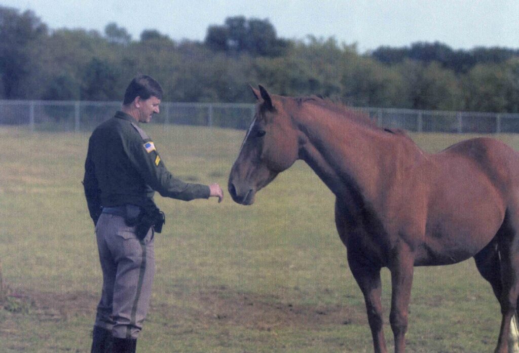 An officer reaches out to a horse in a pasture